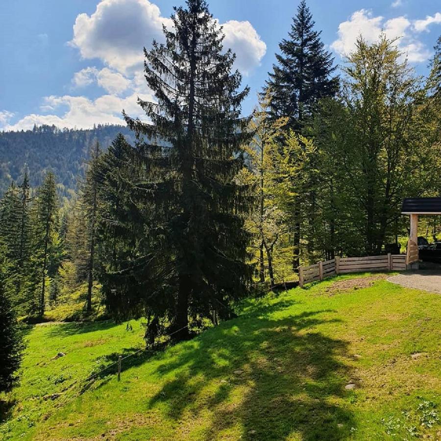 Dom Pod Barania - - Sauna, Jacuzzi, Teznia & Widok Na Gory Wisla