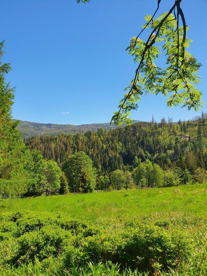 Dom Pod Barania - - Sauna, Jacuzzi, Teznia & Widok Na Gory Вісла