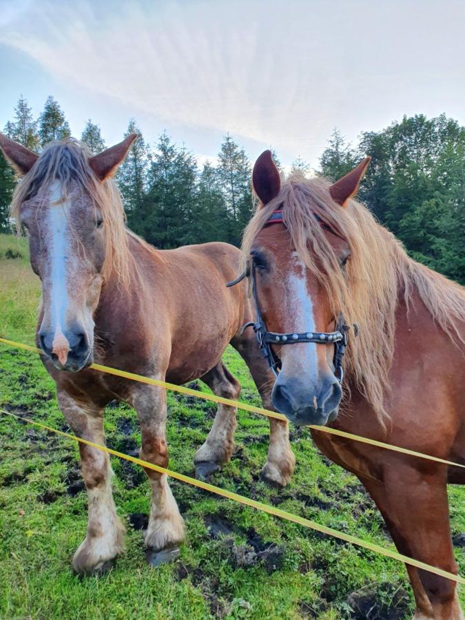 Dom Pod Barania - - Sauna, Jacuzzi, Teznia & Widok Na Gory *