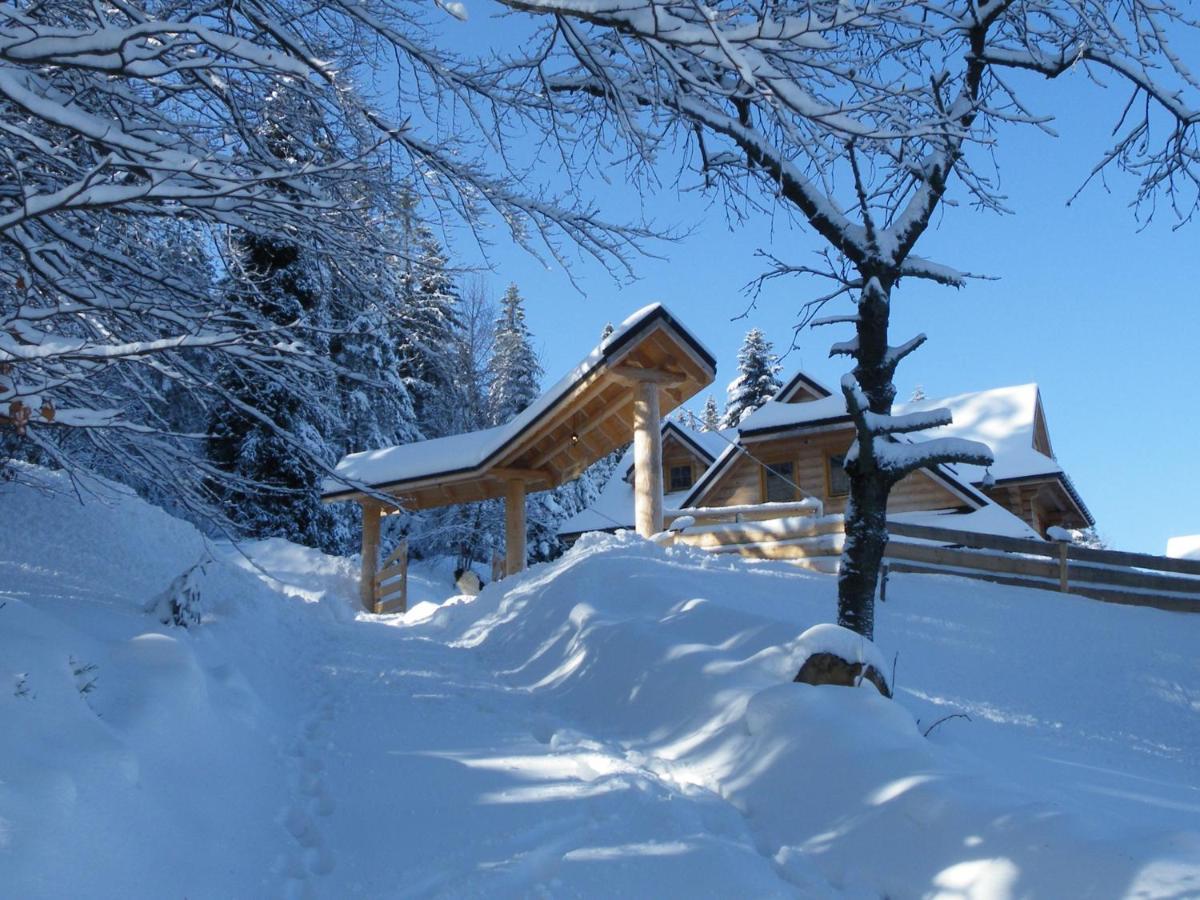 Chalet Dom Pod Barania - - Sauna, Jacuzzi, Teznia & Widok Na Gory Wisla
