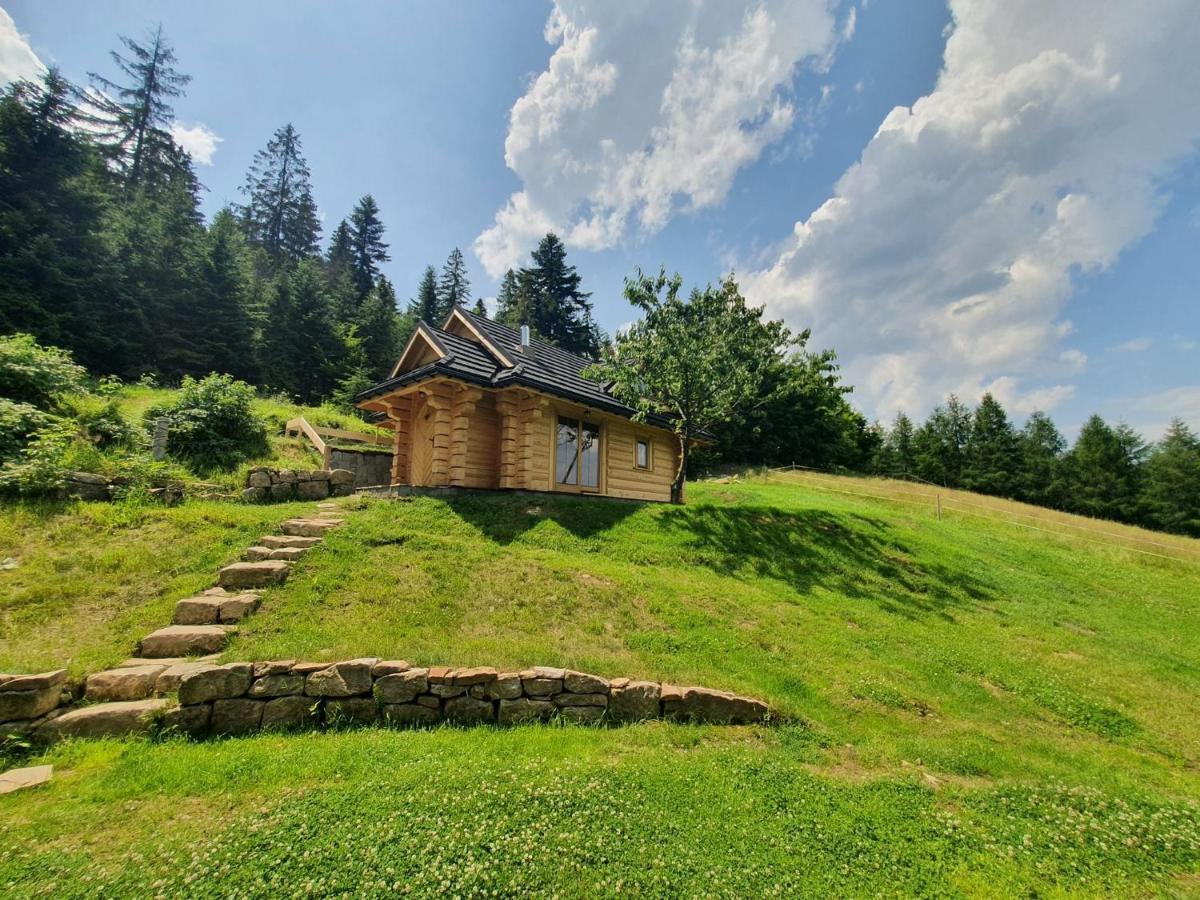 Шале Dom Pod Barania - - Sauna, Jacuzzi, Teznia & Widok Na Gory Вісла